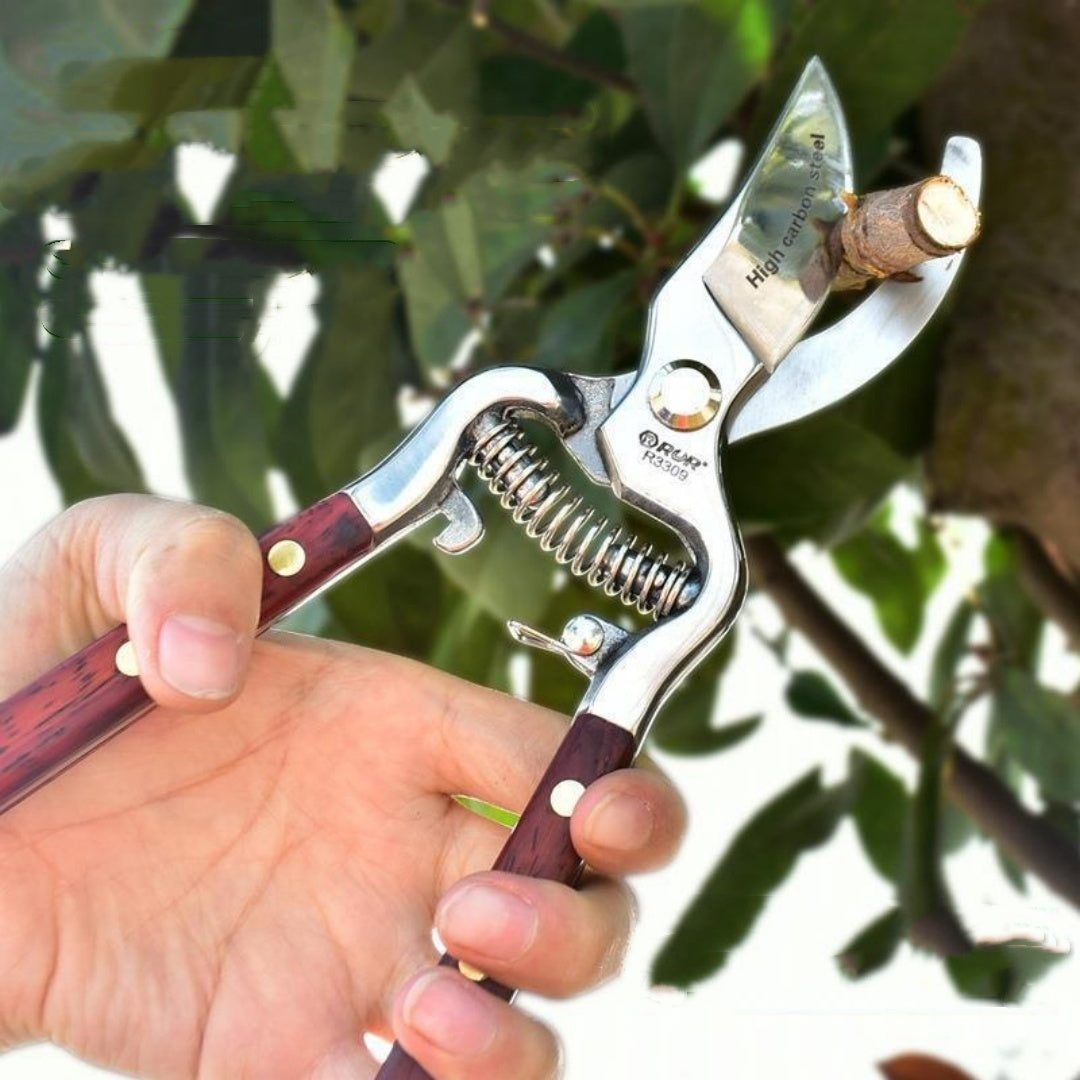 Garden Portable Scissors Tools